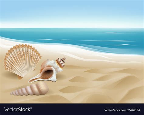 Shells On Beach Background Royalty Free Vector Image