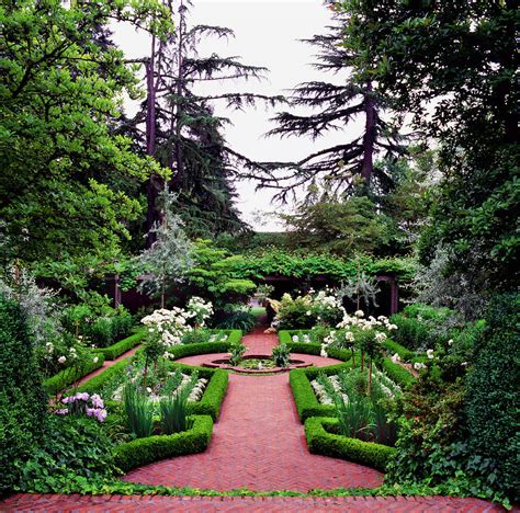 White Rose Garden by Richard Felber