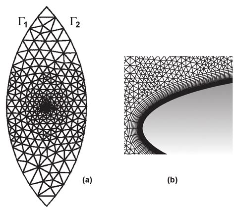 A Sketch Of The Computational Domain And Mesh B A Close Up View Of