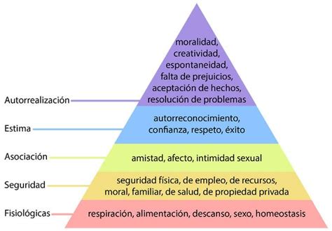 Pirámide de Maslow las necesidades humanas