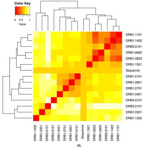 design   multi epitopes vaccine  hantaviruses