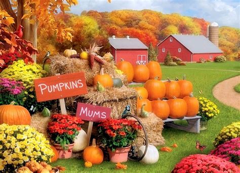 Solve Fall Art Pumpkins Mums Barn Resize To Pieces Jigsaw