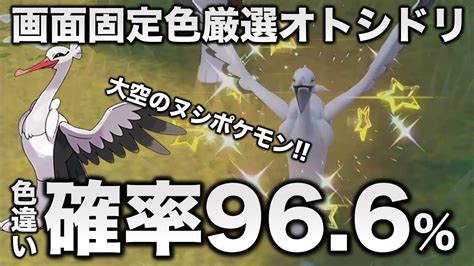 【画面固定移動なし色厳選】オトシドリ編【ポケモンsvスカーレット・バイオレット】 ポケモン関連情報のまとめ動画