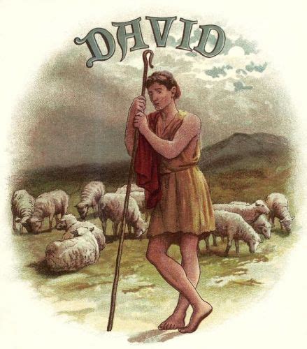 Shepherd David Image 5