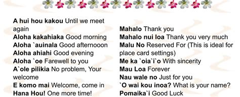 A salutation from the islands aloha | The Fact Base