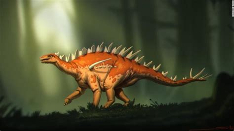 Stegosaurus fossils discovered have 'strange mix of features'