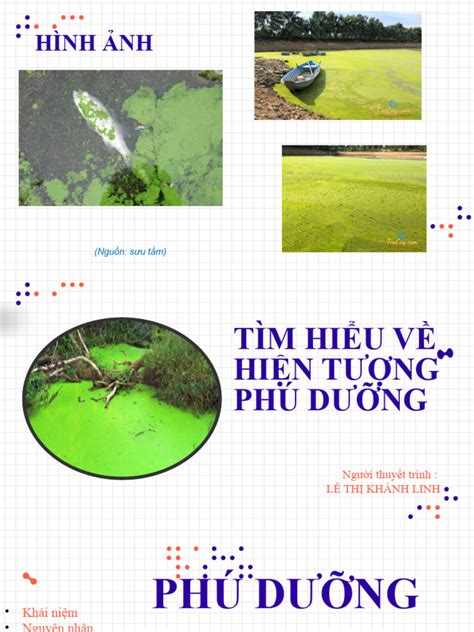 HÓA_ HIỆN TƯỢNG PHÚ DƯỠNG_real | PDF