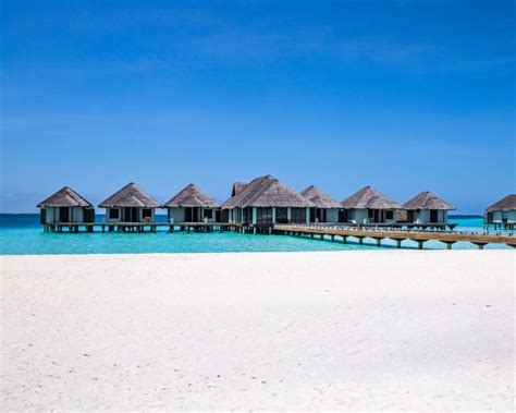 The Best Maldives Resort for Snorkeling: Velassaru Maldives - A Hotel Review | The Next Trip