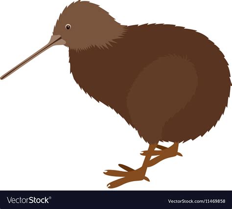 Kiwi bird icon Royalty Free Vector Image - VectorStock