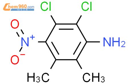 120455 53 0 Benzenamine 2 3 dichloro 5 6 dimethyl 4 nitro CAS号 120455