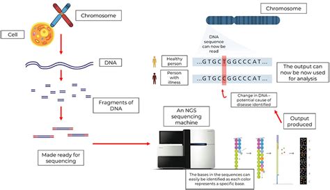 What Is Next Generation Sequencing And Why Do We Need It Frontiers