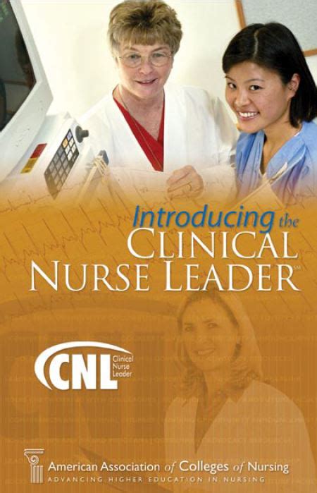 Clinical Nurse Leader Brochure 100 Copies Aacn