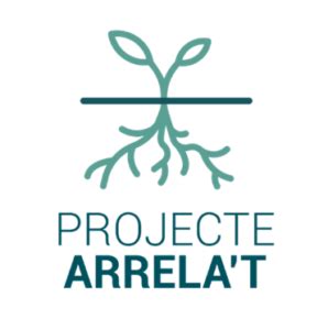 Projecte Arrelat mentoria social per a la inclusió Fundació Gentis