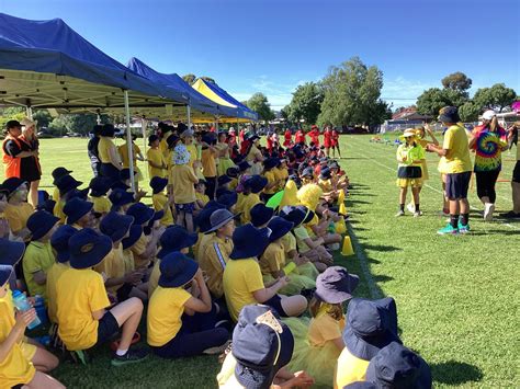 Shoppers complain about officeworks trinity gardens stock levels 19