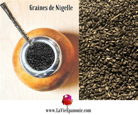 Bienfaits Des Graines De Nigelle