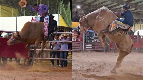 CHEQUEN LA CALIDAD DE TOROS DE REPAROS En El Torneo Toro De Oro