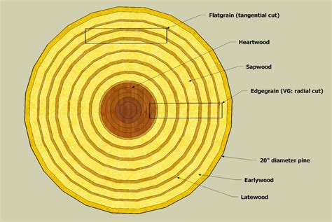 Testing Moisture Content In Wood Hotsell Nhvac