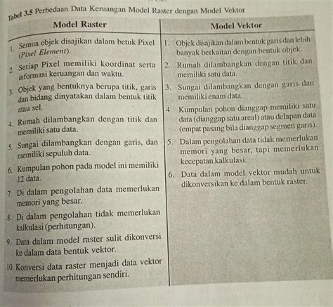 Apa Perbedaan Antara Data Vektor Dan Data Raster Bagaimana