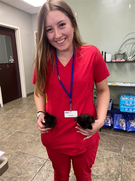 VCA All Pet Animal Hospital/Taylorsville | Taylorsville UT