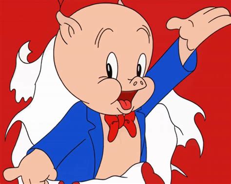 Porky Pig Cartoon Paint By Numbers - Painting By Numbers