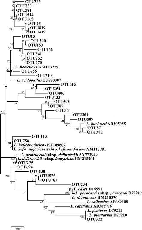 Phylogenetic Tree Constructed Based On The Lactobacillus Otu Sequences