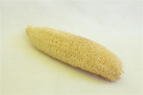 Esponja Vegetal Luffa Ou Bucha Green Vibe