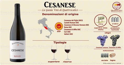 I Vini Cesanese Nella Guida Vini Di Quattrocalici Le Caratteristiche