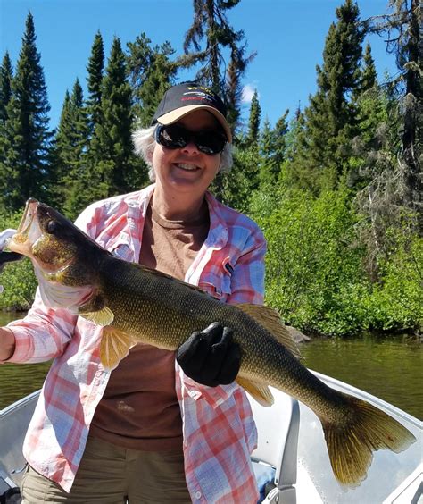 Big Hook News And Fishing Reports 2018 Wilderness Report 3