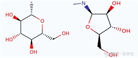 盘点 2023年全球获批糖类药物一图纵览 前言糖类是构成生命的基本要素发挥重要的生物学功能而基于糖类结构的药物开发是药物研究的重要方向