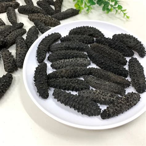 Dried Sea Cucumber For Sale Buy Dried Sea Cucumber To Buy Sea