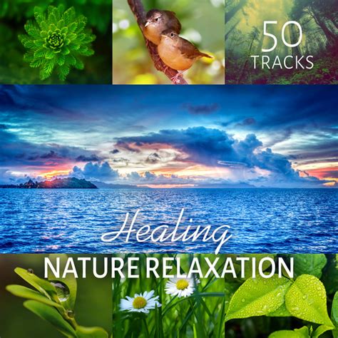 Healing Nature Relaxation 50 Tracks Relaxing Tracks Balancing Nature