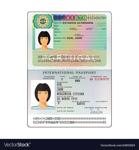 International open passport with portugal visa Vector Image