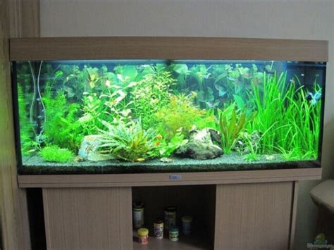 Juwel Aquarium Test Vergleich 2023 TOP 7 Juwel Aquarien