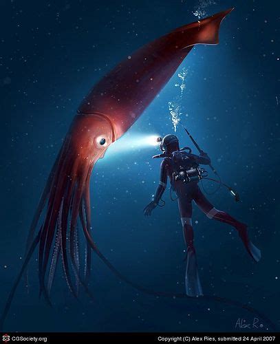 Deep Sea Giant Squid