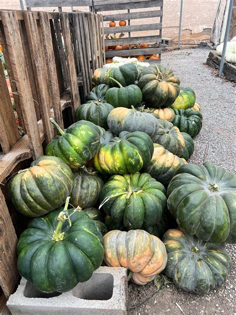 criswell funeral ada oklahoma 8