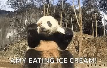 Pandas Eating Ice Cream