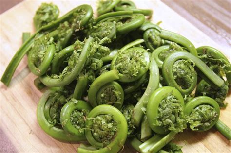 Which Fiddlehead Ferns Are Edible Hunker