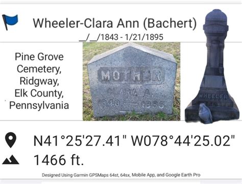 Clara Ann Bachert Wheeler 1843 1895 Find A Grave Memorial