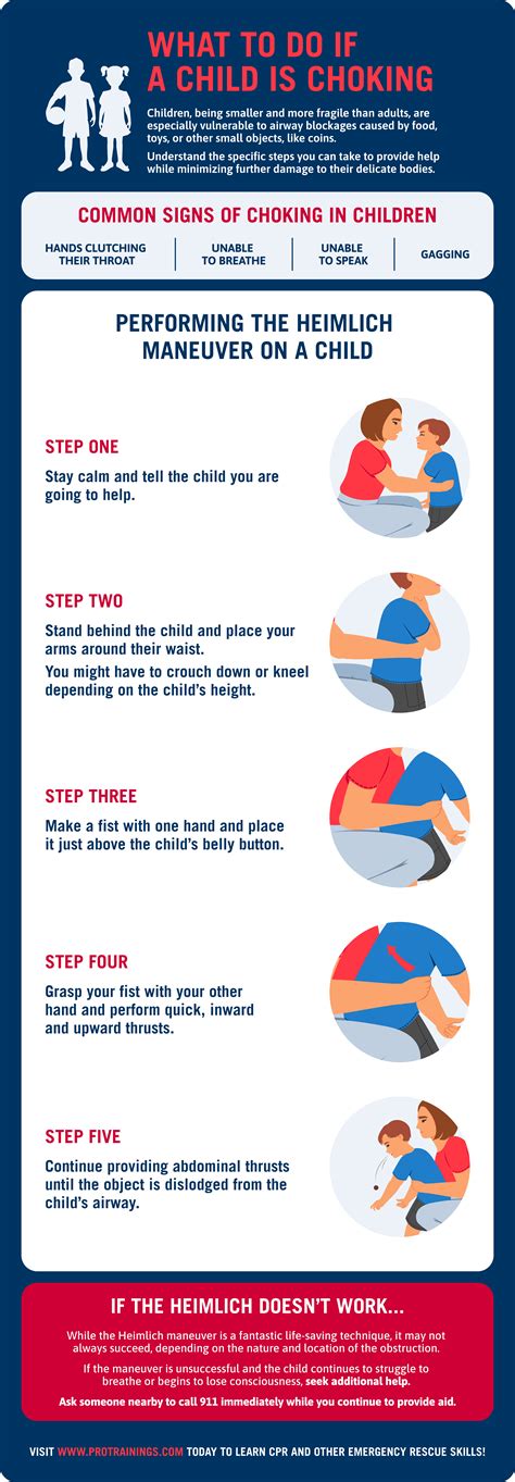 how to do the heimlich maneuver on a dog 1