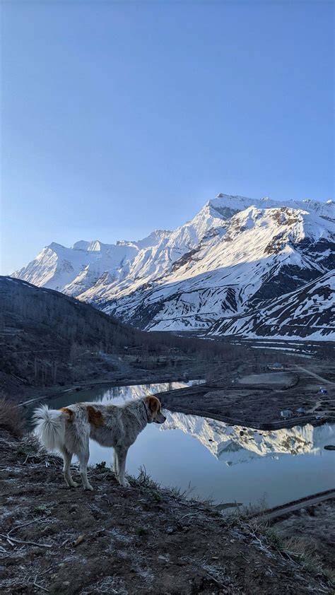 Sissu, Himachal Pradesh, India : r/mobilephotography