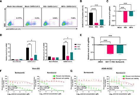 Frontiers Sars Cov Nsp Protein Associates With Impdh And