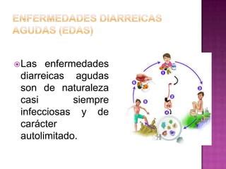 Infecciones Respiratorias Agudas Iras Y Diarreicas PPT