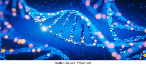 Dna Study Gene Structure Cell Molecule Stock Illustration 1946017738