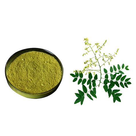 Sophora Japonica Extract