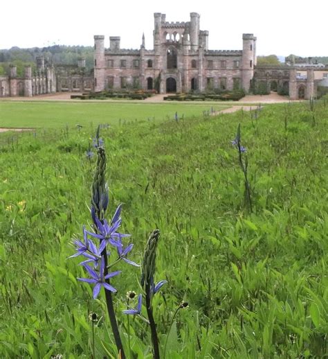 Lowther Castle & Gardens (@lowthercastle) • Instagram photos and videos ...