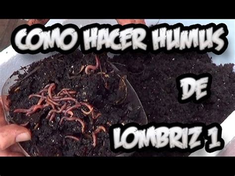 Humus De Lombriz Descubre cómo el uso de lombrices de tierra y