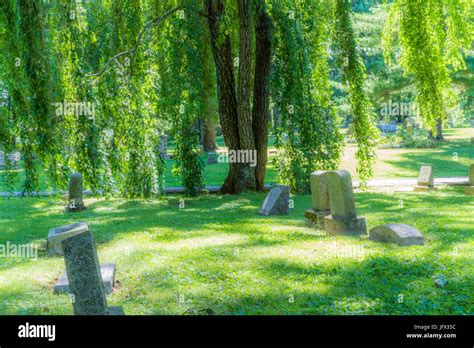 Peaceful Cemetery With Trees Stock Photo Alamy