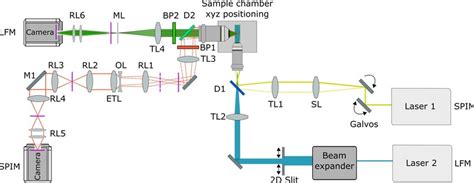 Lfm Spim Optical Setup Schematic D Drawing Of The Lfm Spim Setup