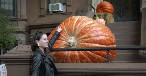 1,000-pound pumpkin brings smiles to Brooklyn