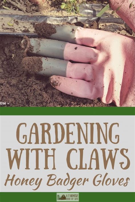 Honey Badger Gloves Gardening With Claws A Farmish Kind Of Life